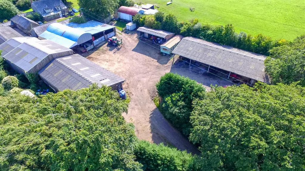DJI 0239.jpg