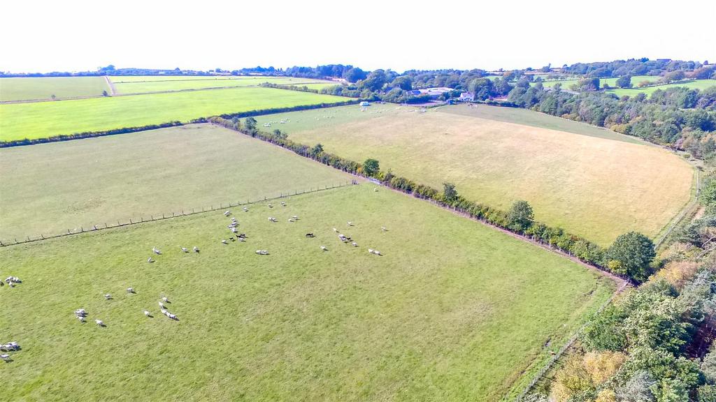 DJI 0248.jpg