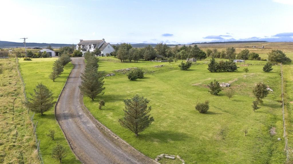Driveway Setting