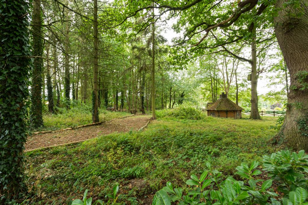 Woodlands