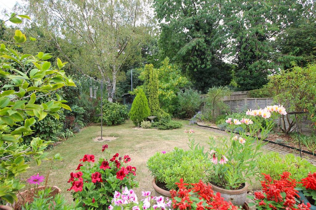 Garden 2 .JPG