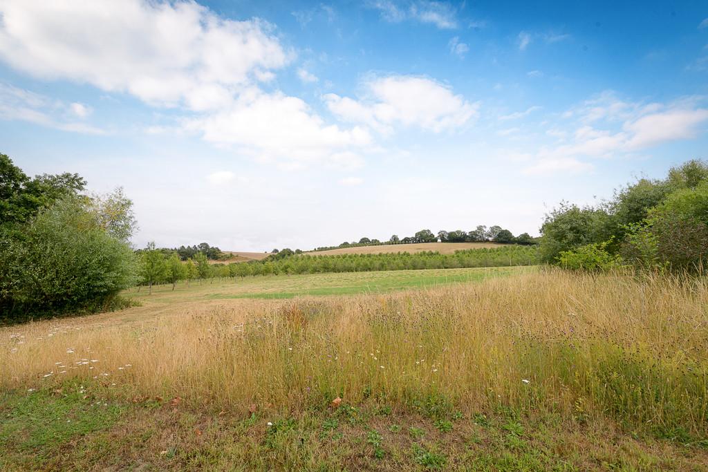 The Great Barn, Woodhouse Farm-2