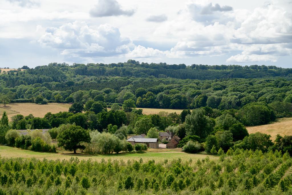 The Granary, Woodhouse Farm-28