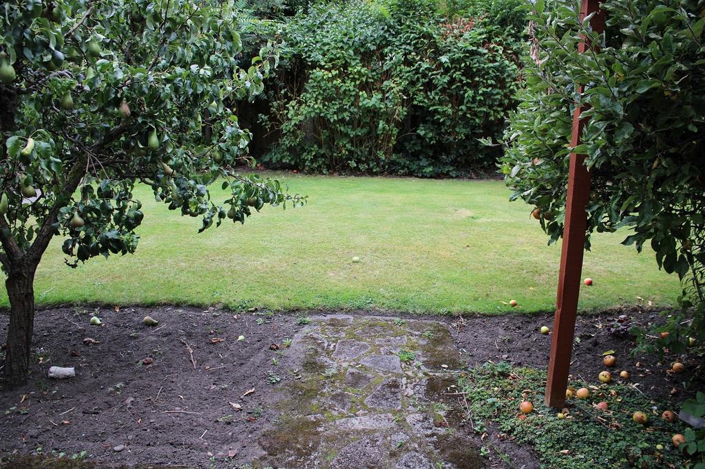 Garden Photo