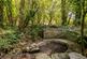 Additional image 44 of Rue Des Falles, St. Pierre Du Bois, Guernsey