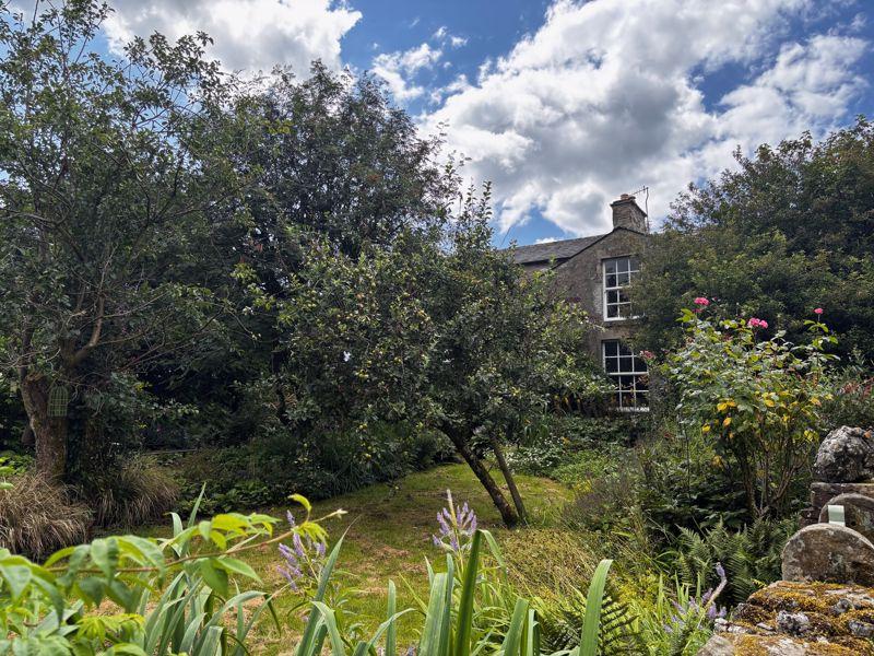 Back Garden