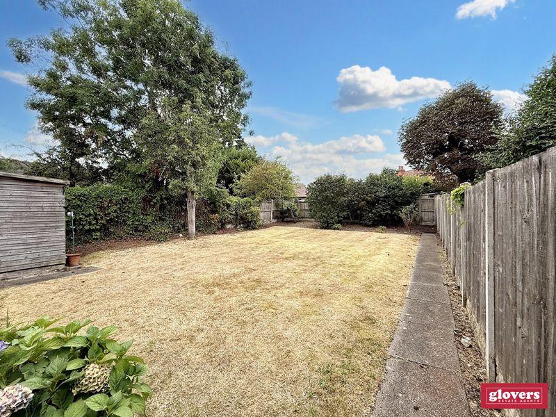 Back garden