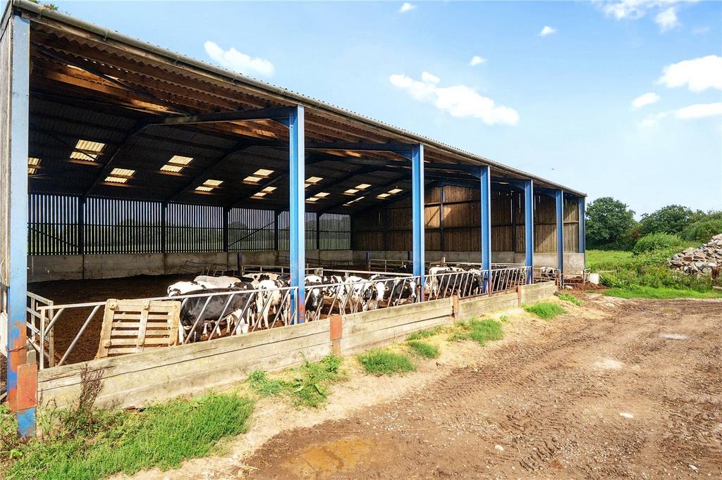 Lot 1