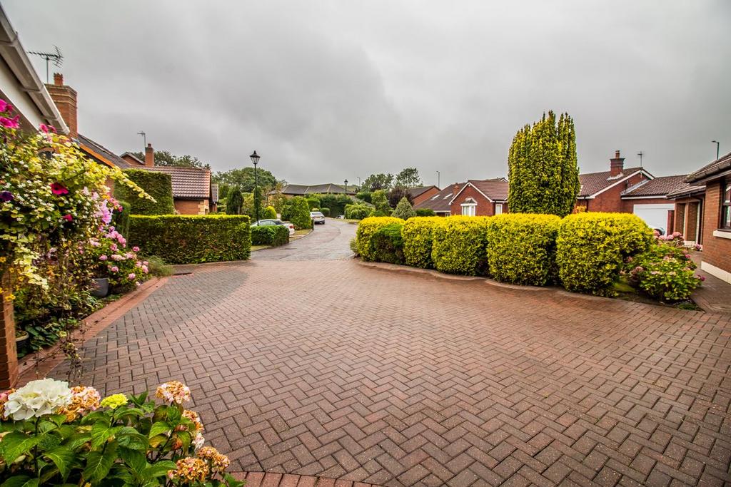 Driveway.