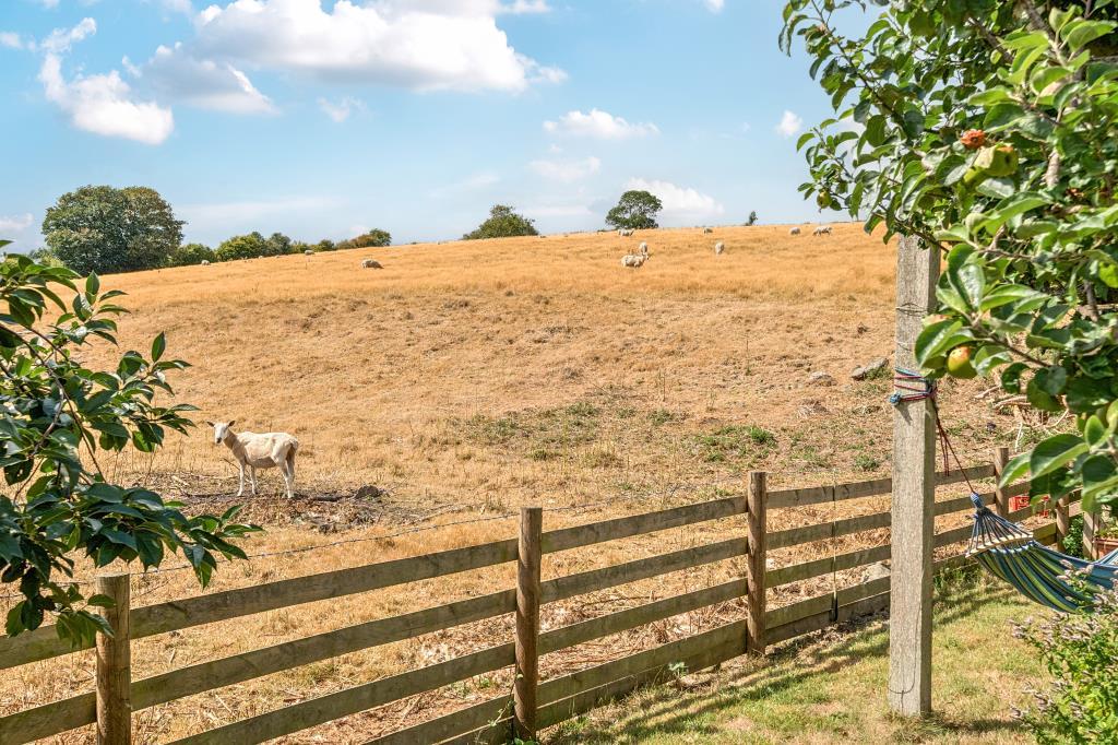 Photos