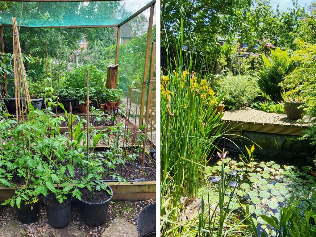 Garden comp 2.jpg
