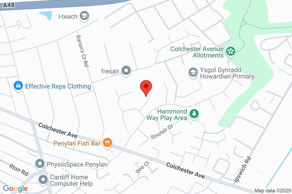 Google Maps Image
