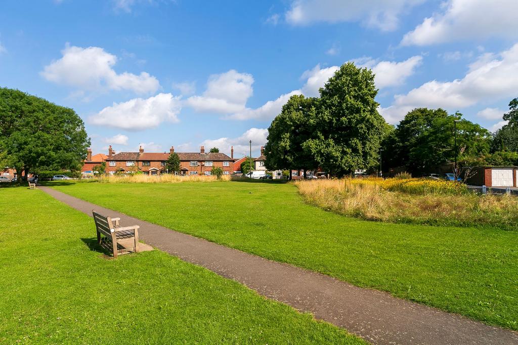 Ham green
