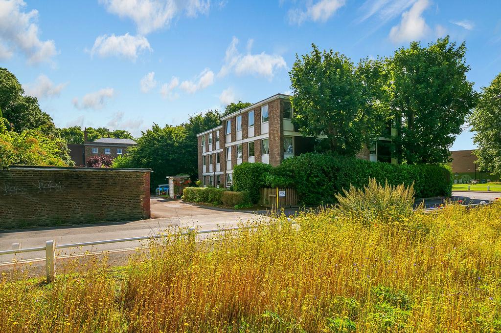 View from ham green