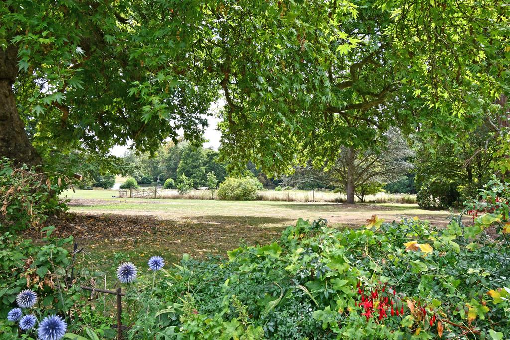 View From Garden