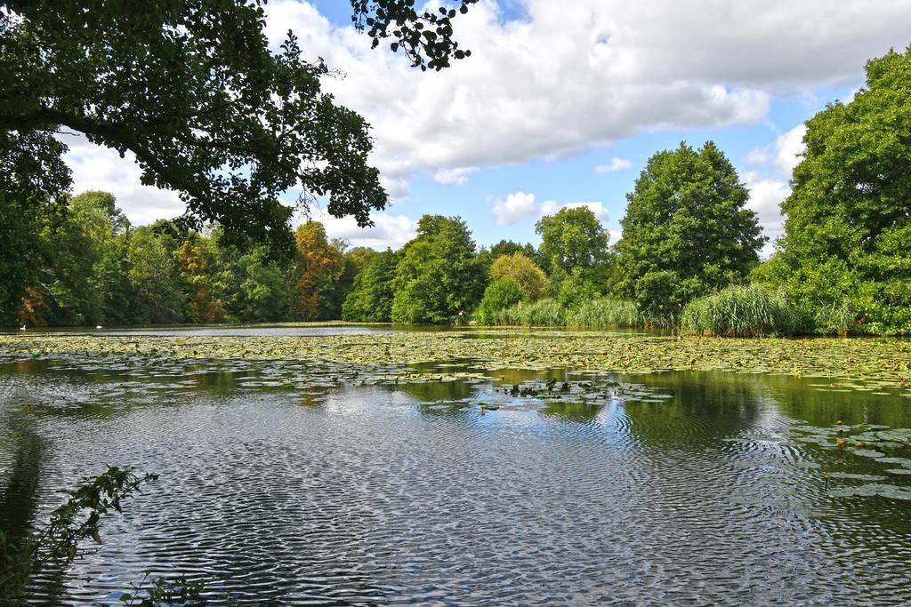 Ground &amp; Gardens