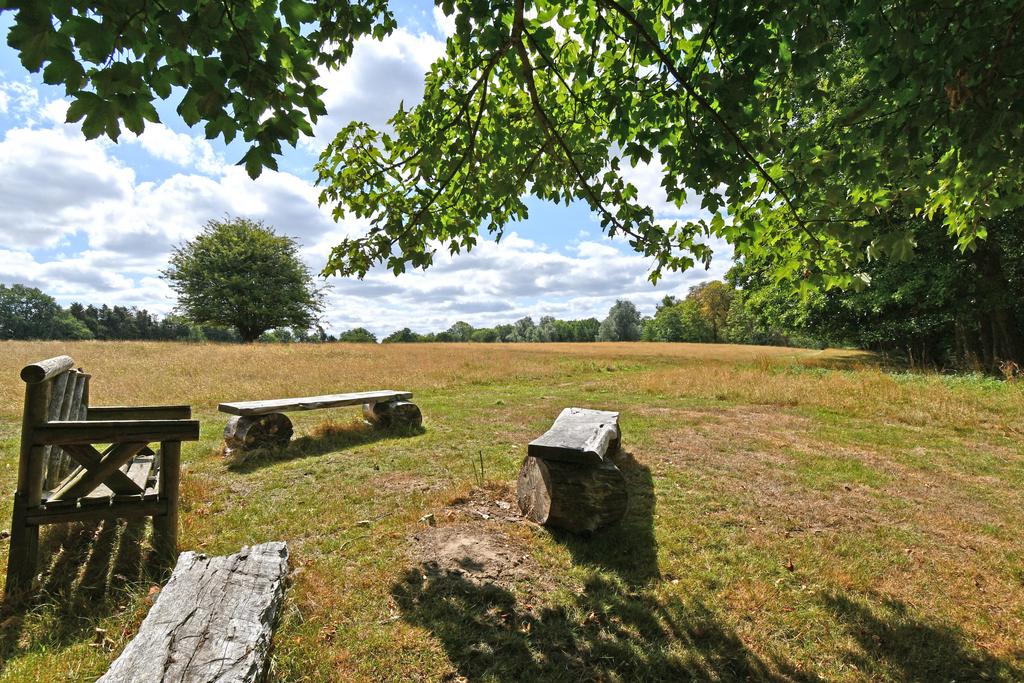 Ground &amp; Gardens