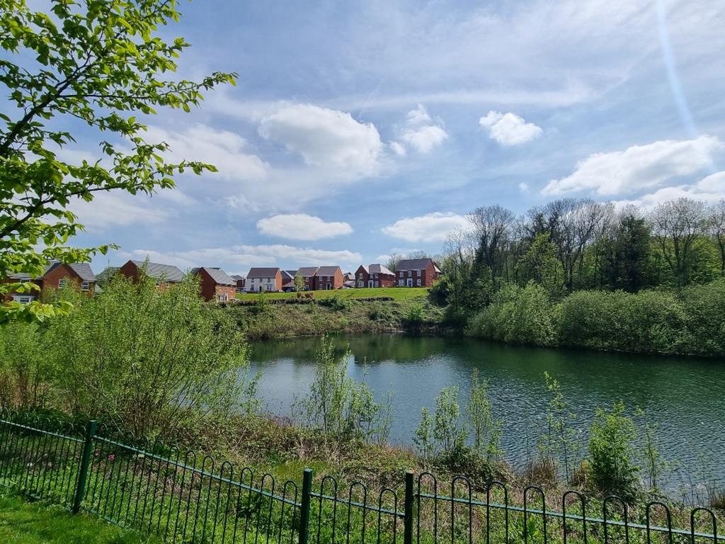 Surrounding Area