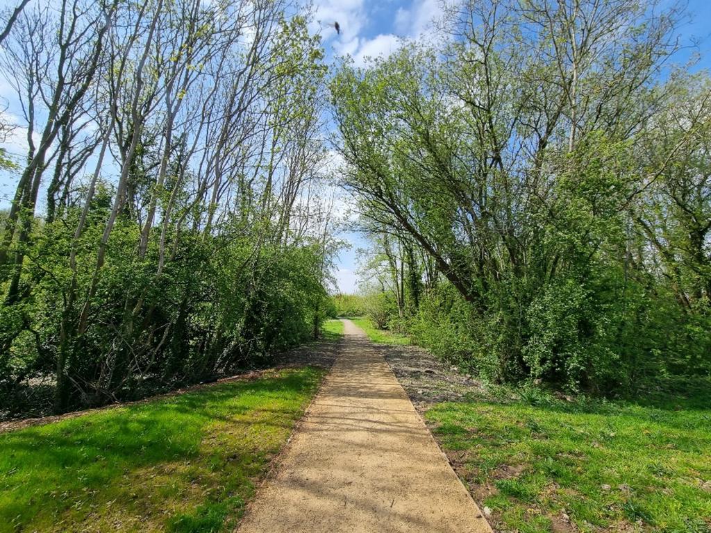 Surrounding Area