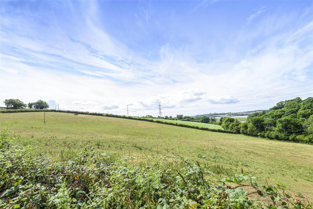 Lower Field