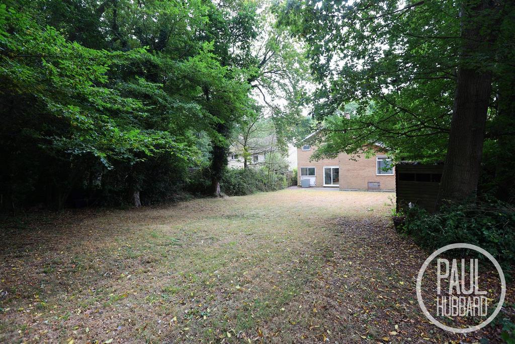 7 r5 a3354.jpg