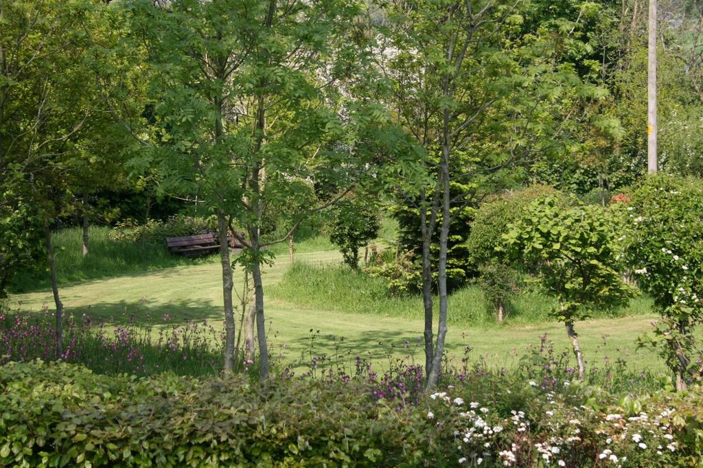 Conservation Area
