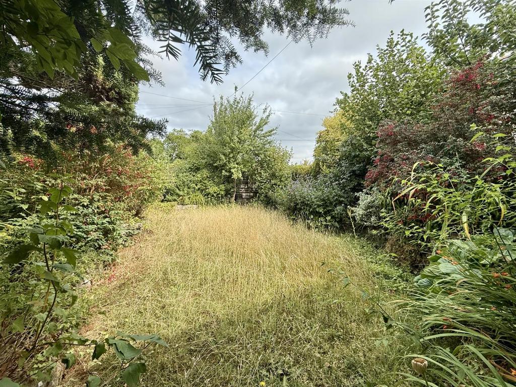 Garden.jpg