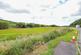 Additional image 12 of Transport Cafe, Duns TD11