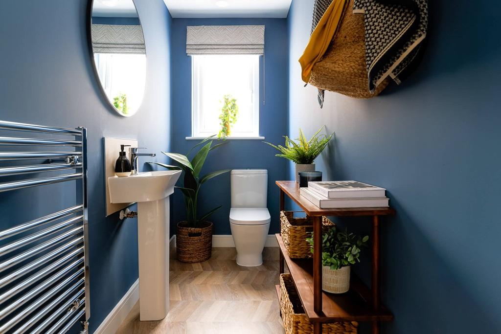 Convenient downstairs toilet