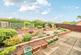 REAR GARDEN.jpg