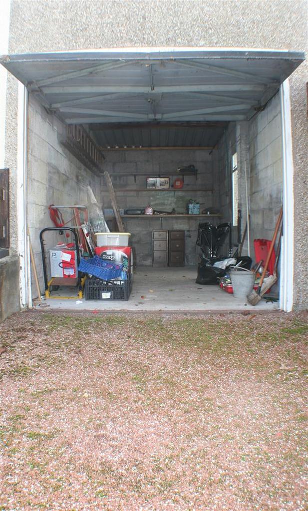 Img 0126.jpg