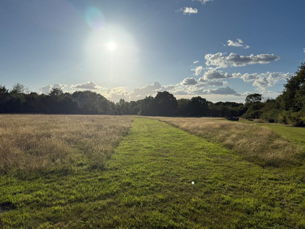 Meadow