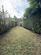 85 Crossfield Road Garden x 2