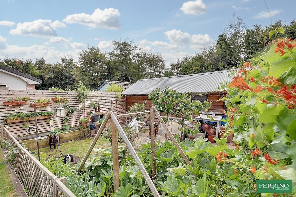 Vegetable Garden