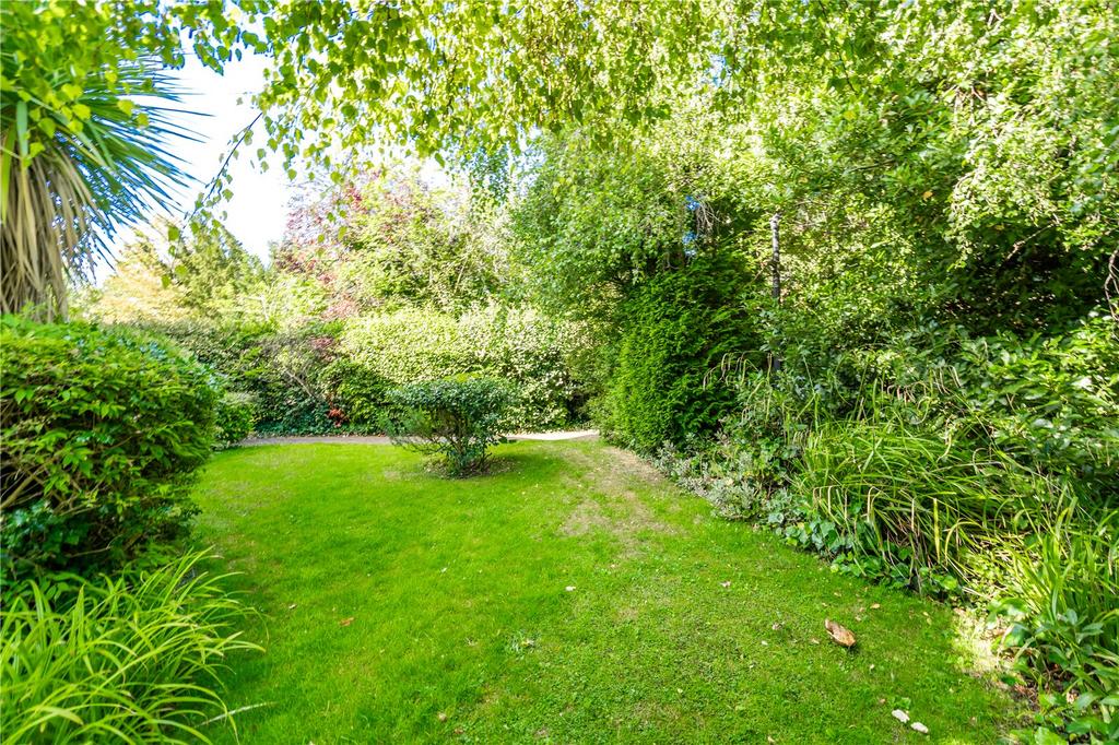 Garden (3)