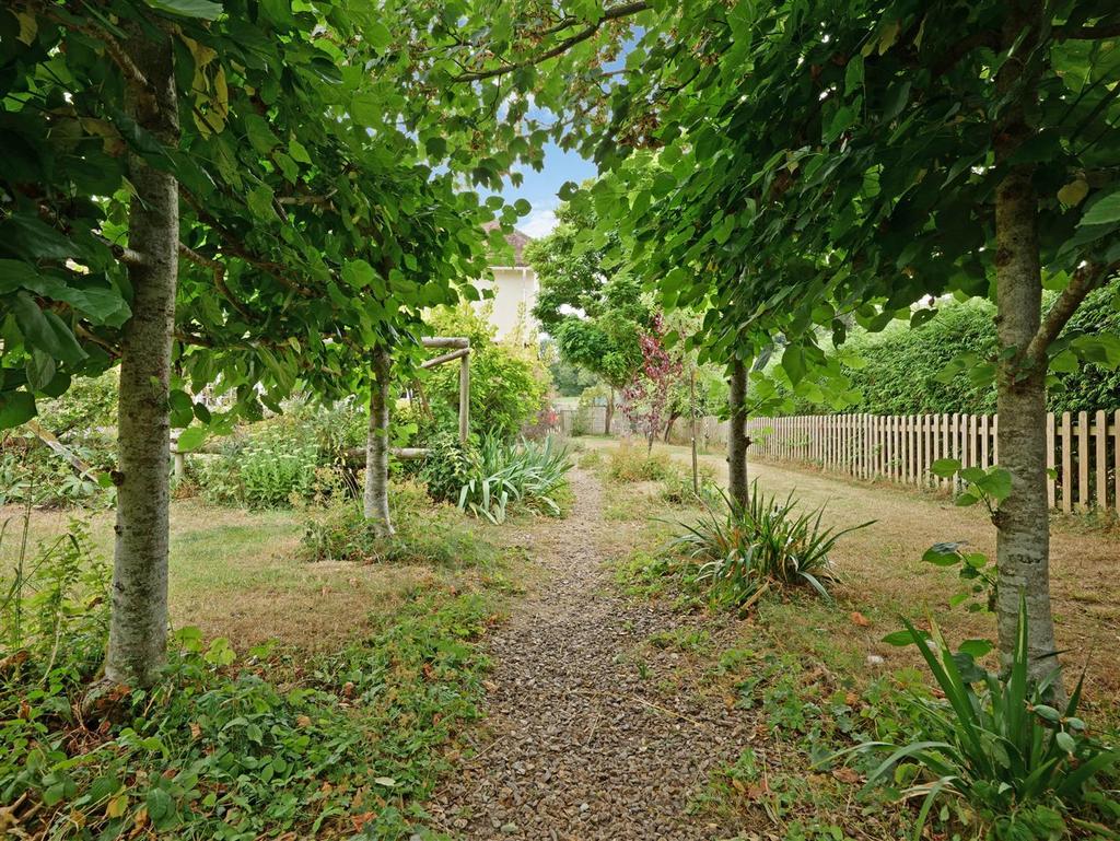 1 (46).jpg