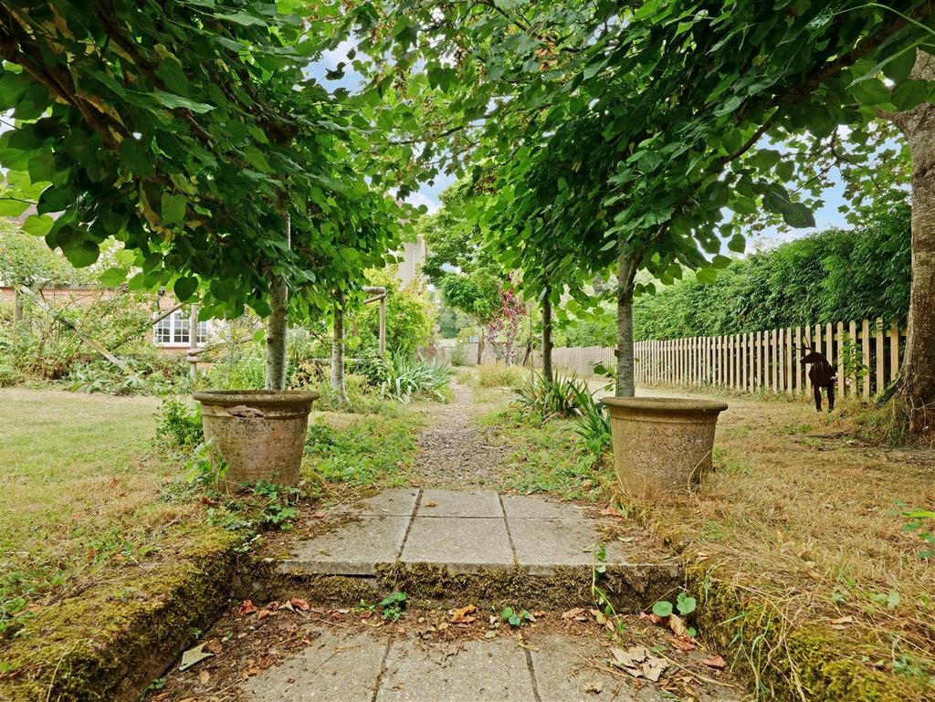 1 (47).jpg