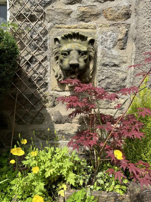 Stone Lion