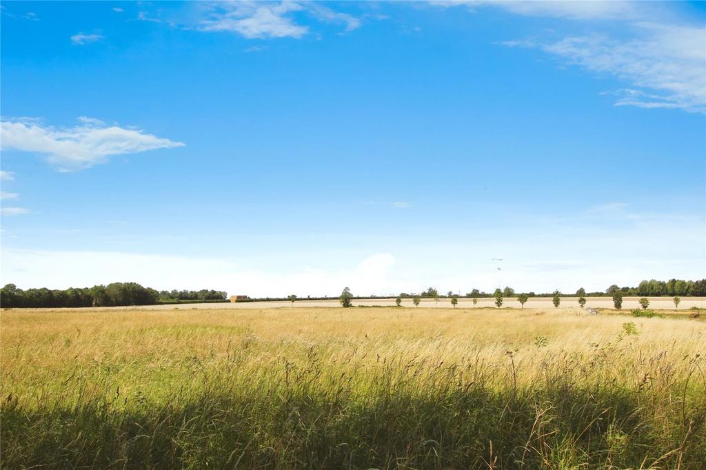 Haynes Fields