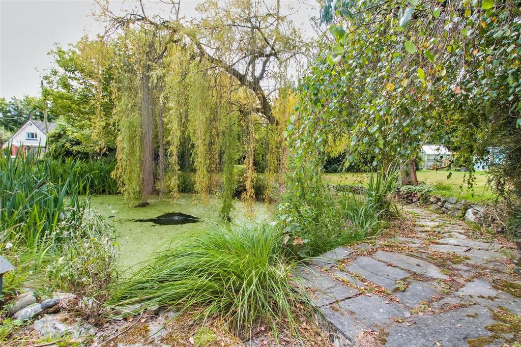 Pond