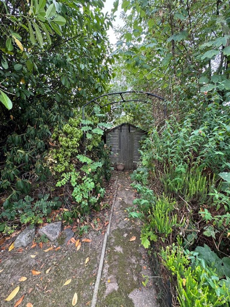 5 Ronald Grove rear garden