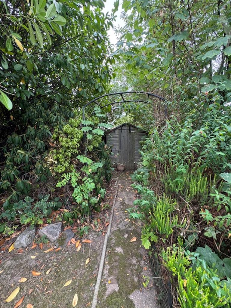 5 Ronald Grove  rear garden