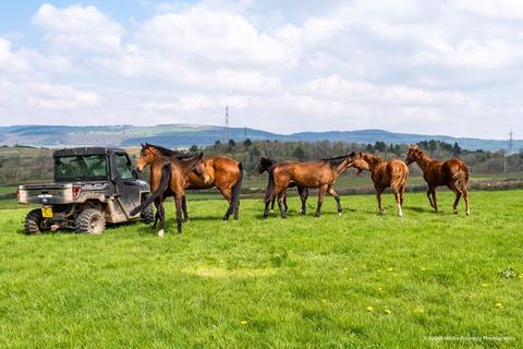 Equestrian property for sale, Lot 4 - Equestrian facilities set in 50.42 acres, Llanmihangel Farm, Pyle, Bridgend, CF33 6RL