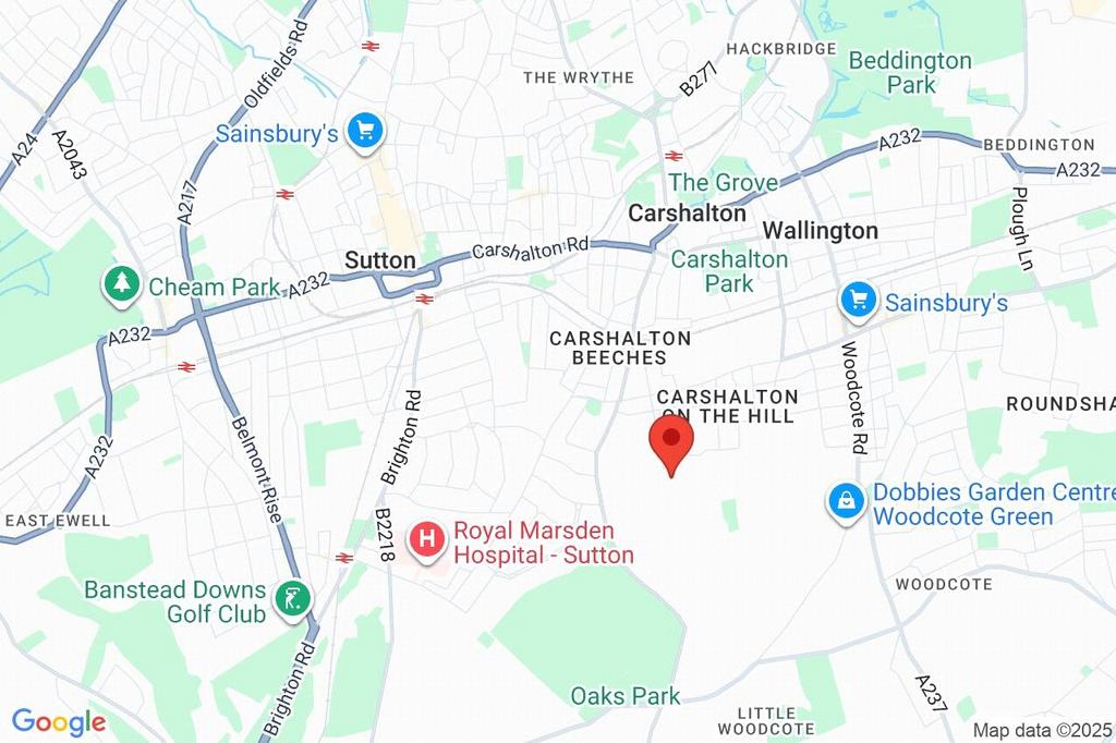 Google Maps Image