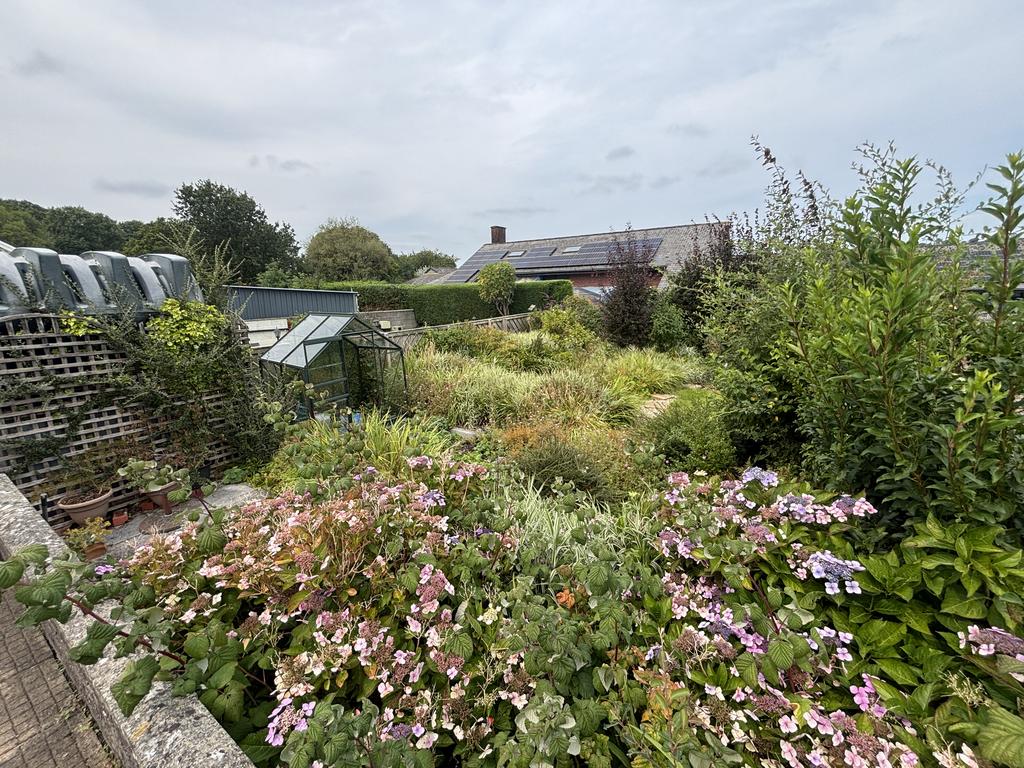 Garden (third image)