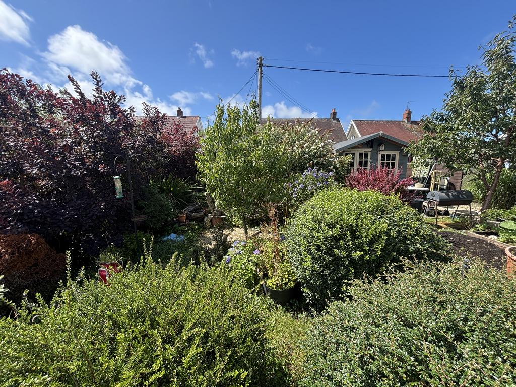 Garden (second image)
