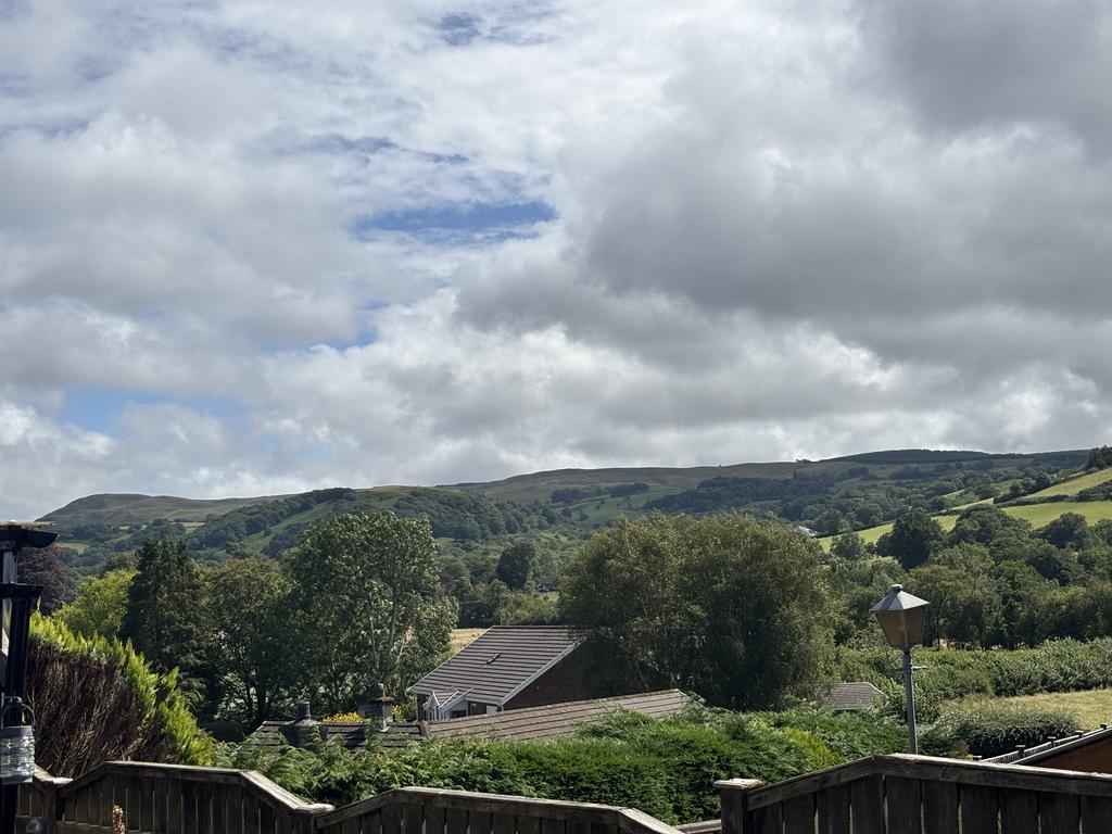 View from garden