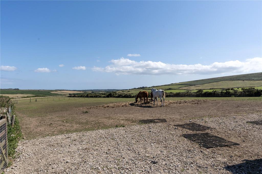 Picture No. 29