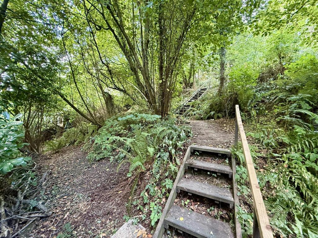 Woodland2.jpg