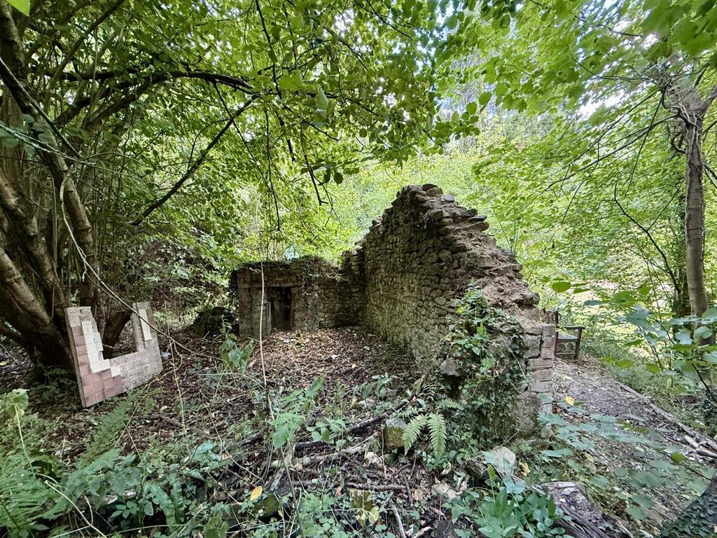 Old Cottage Garden.jpg